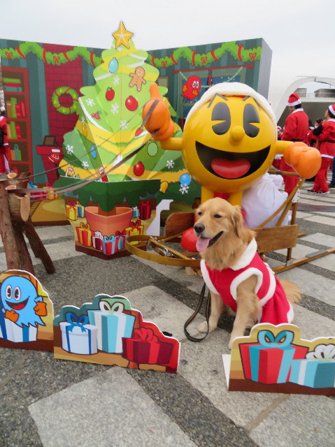 ファイル 7425-5.jpg