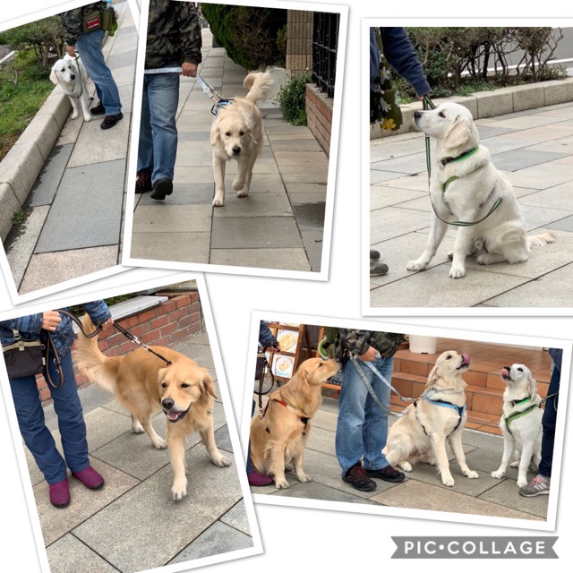 ファイル 7426-3.jpg