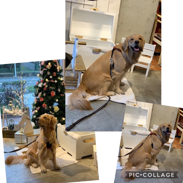 ファイル 7426-5.jpg