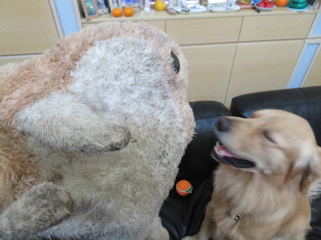 ファイル 7427-1.jpg