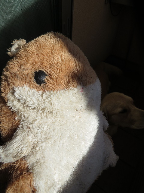 ファイル 7427-2.jpg