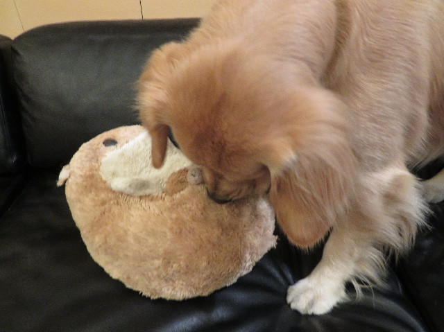 ファイル 7427-3.jpg