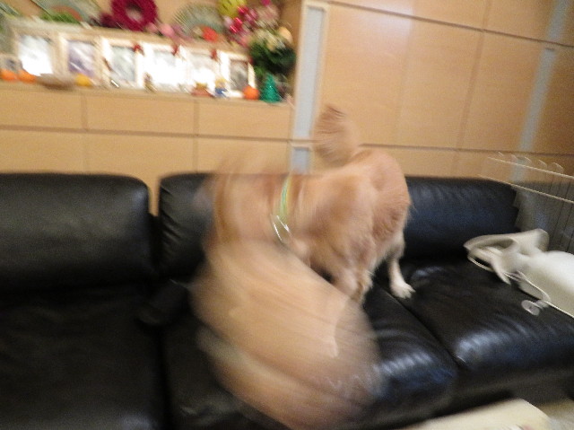 ファイル 7427-4.jpg