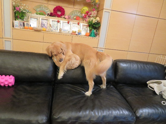 ファイル 7427-5.jpg