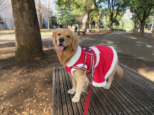 ファイル 7428-1.jpg