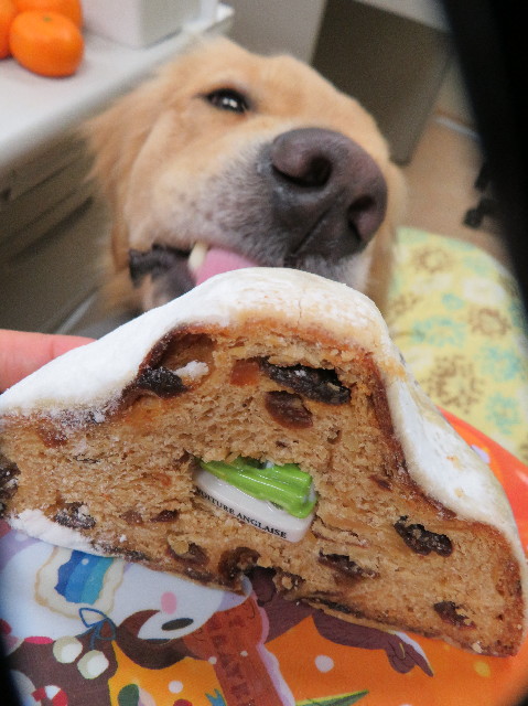 ファイル 7428-3.jpg