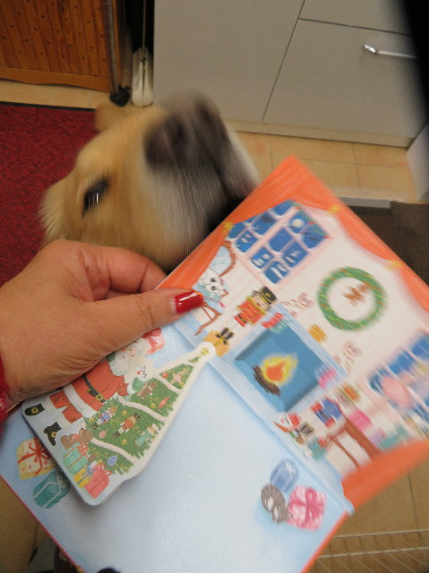 ファイル 7428-4.jpg