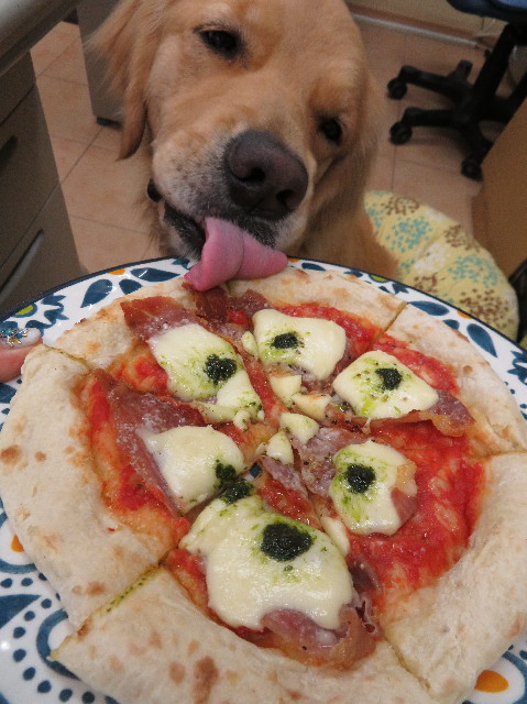 ファイル 7430-3.jpg