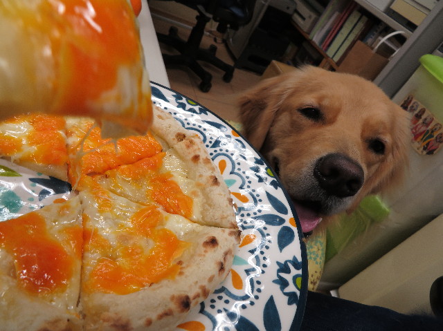 ファイル 7430-4.jpg