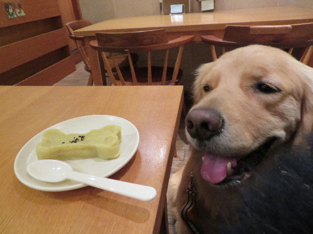 ファイル 7435-3.jpg