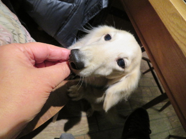 ファイル 7435-5.jpg