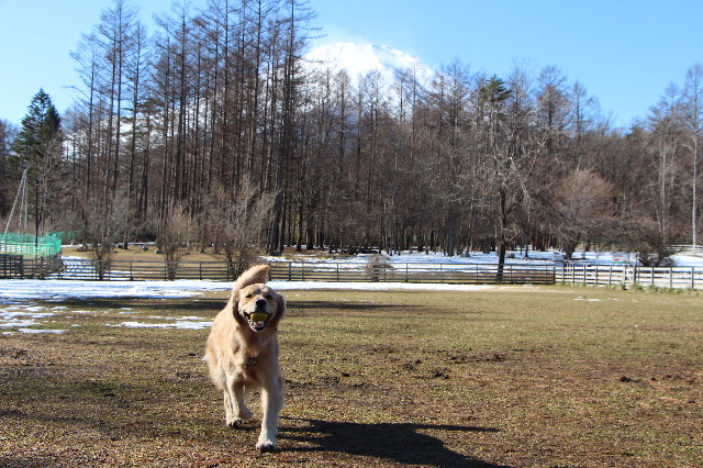 ファイル 7437-3.jpg