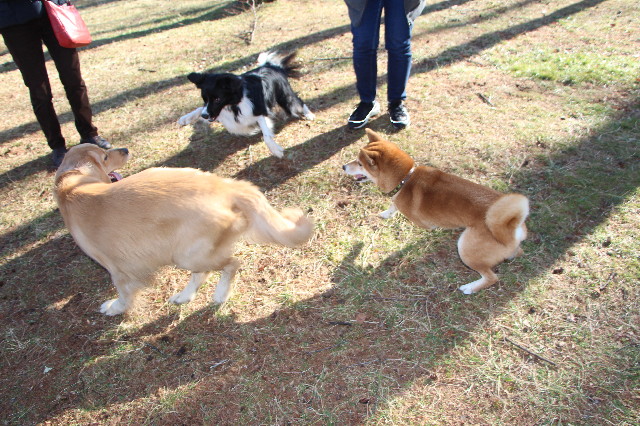 ファイル 7437-5.jpg