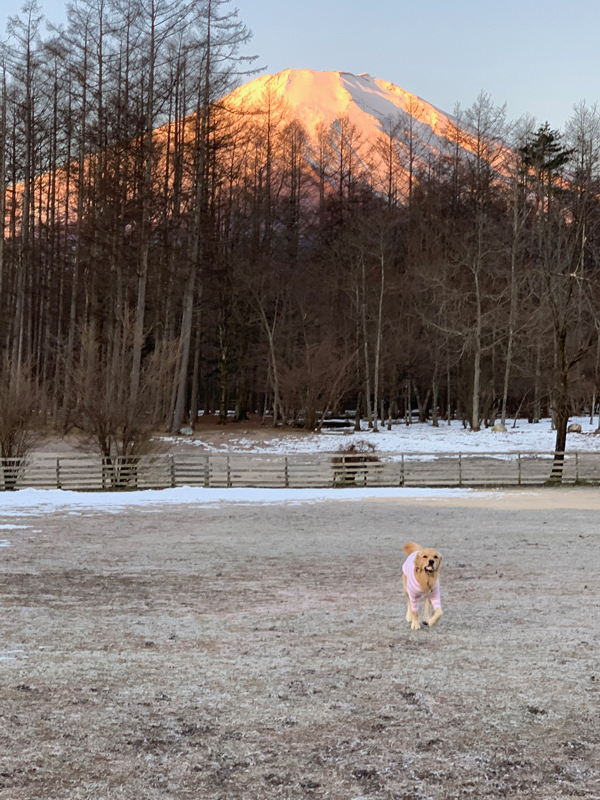 ファイル 7440-3.jpg