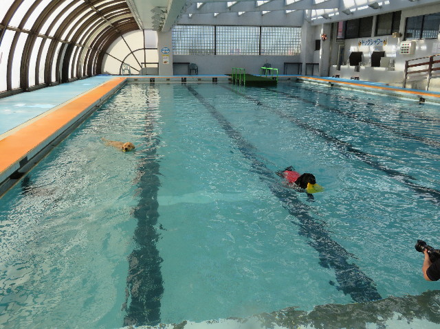 ファイル 7441-2.jpg