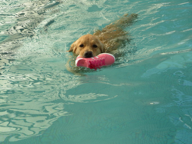 ファイル 7444-2.jpg