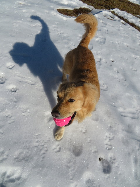 ファイル 7445-1.jpg