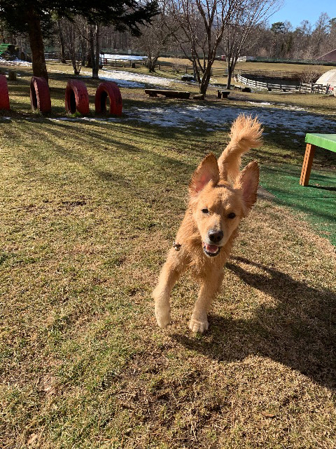 ファイル 7445-5.jpg