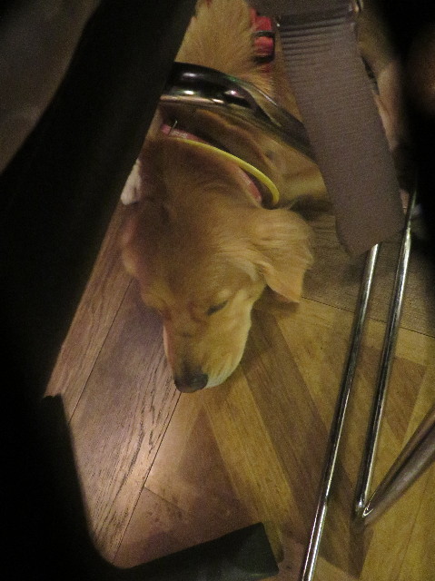 ファイル 7447-5.jpg