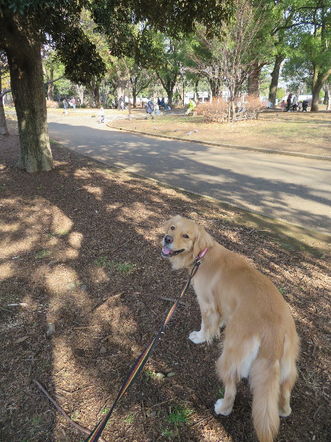 ファイル 7451-1.jpg