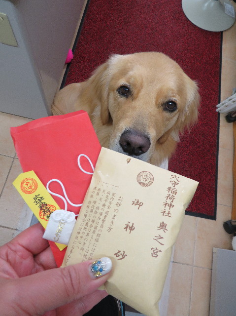 ファイル 7451-3.jpg