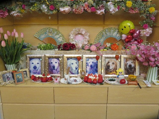 ファイル 7452-1.jpg