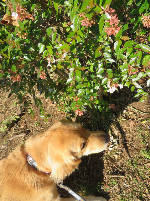 ファイル 7454-3.jpg