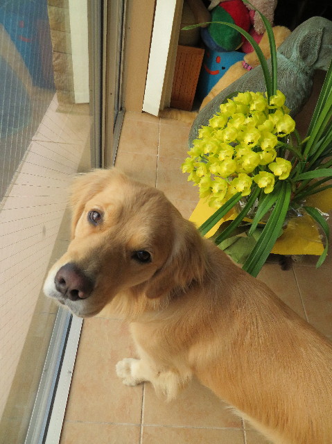 ファイル 7456-1.jpg