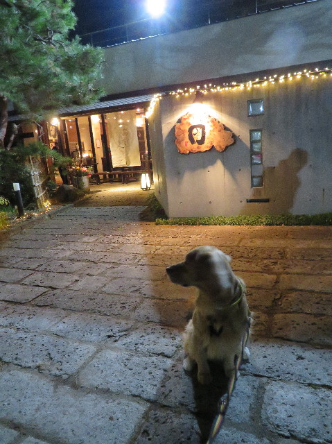 ファイル 7456-2.jpg