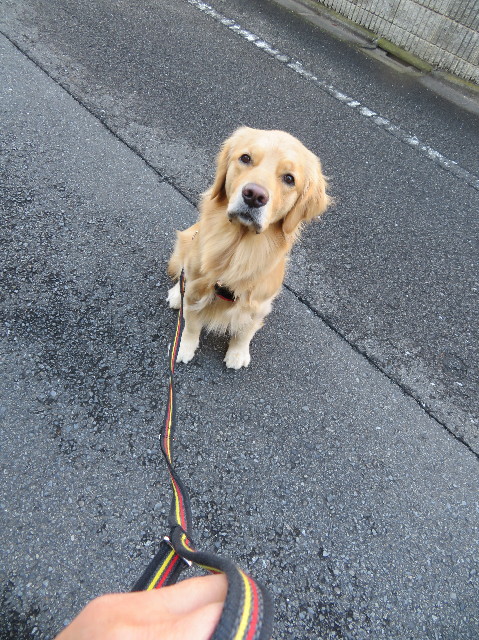 ファイル 7460-2.jpg