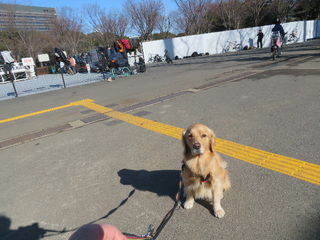 ファイル 7460-3.jpg