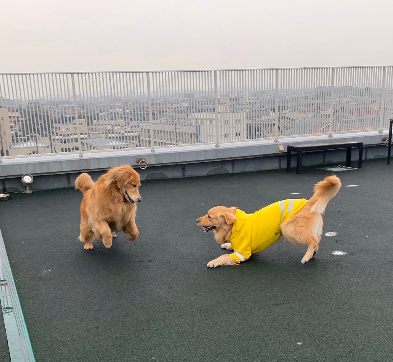 ファイル 7466-2.jpg