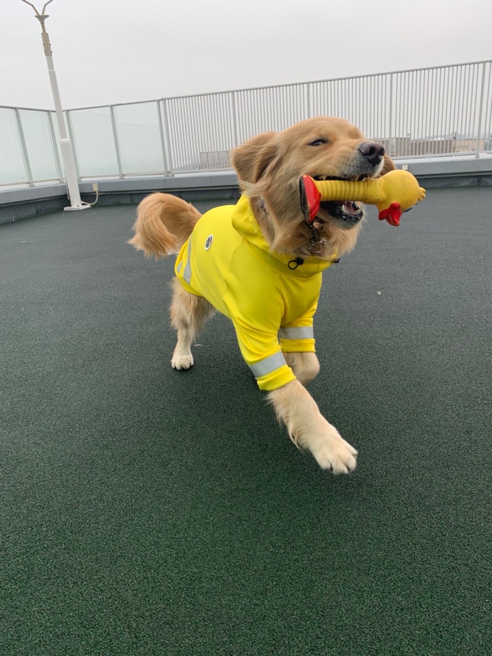 ファイル 7466-5.jpg