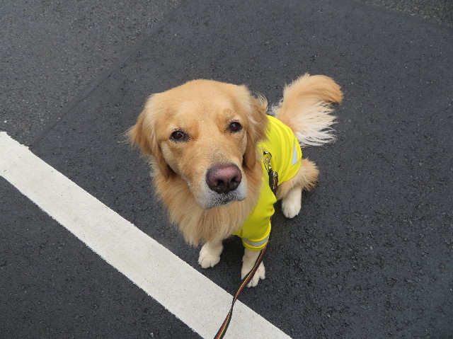 ファイル 7468-2.jpg