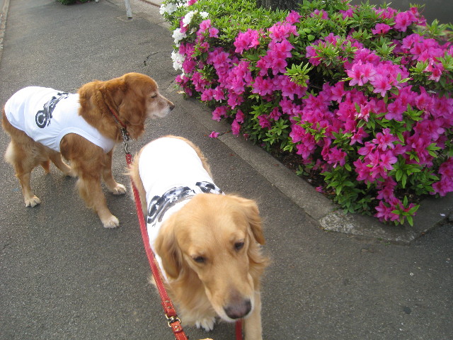 ファイル 747-4.jpg