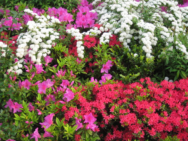 ファイル 747-5.jpg