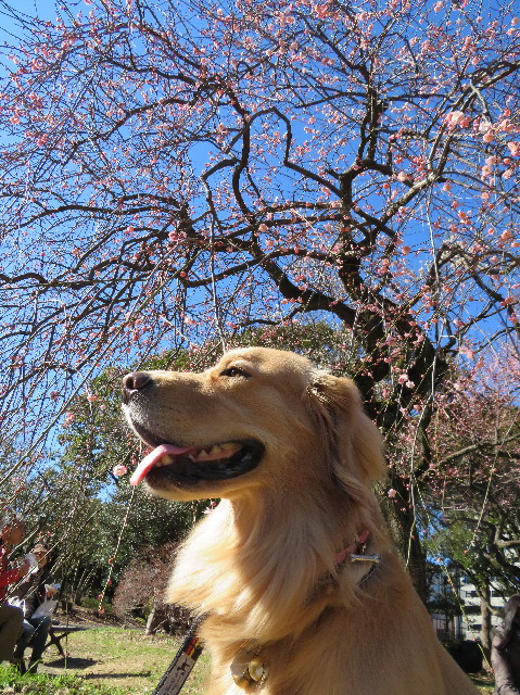 ファイル 7473-4.jpg