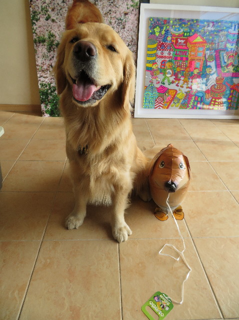 ファイル 7474-1.jpg