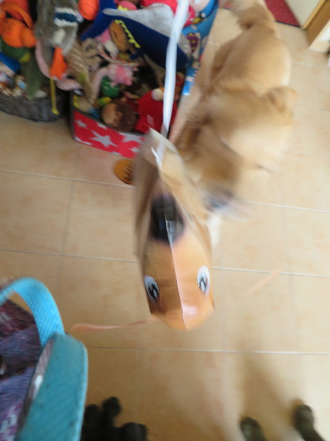 ファイル 7474-4.jpg