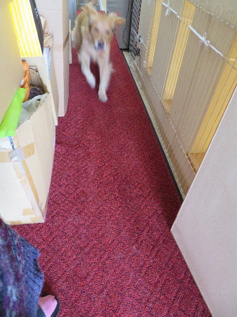 ファイル 7477-2.jpg