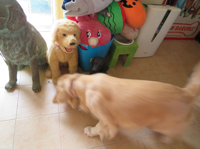 ファイル 7477-4.jpg