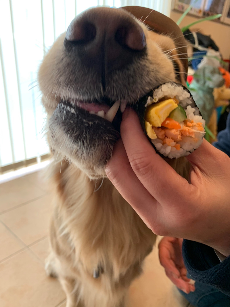 ファイル 7478-3.jpg