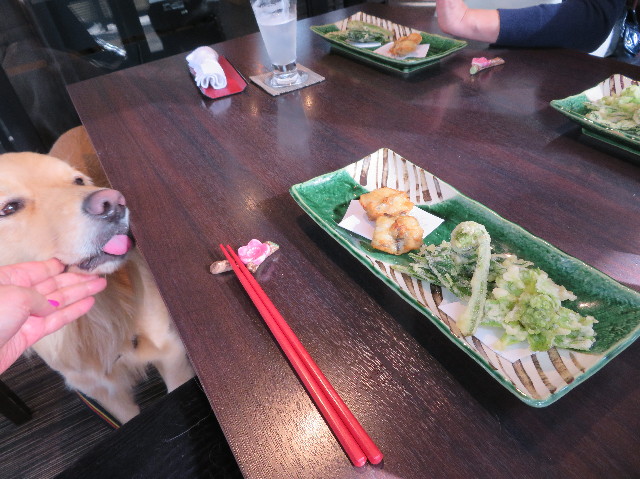 ファイル 7479-2.jpg