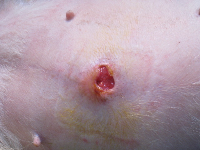 ファイル 748-1.jpg