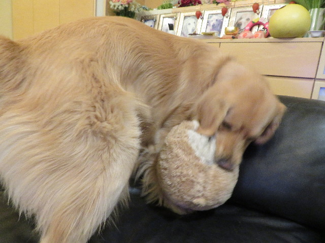 ファイル 7482-2.jpg