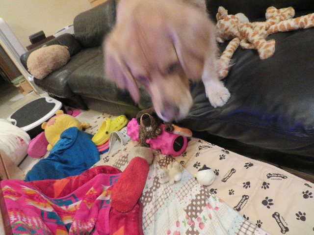 ファイル 7482-3.jpg