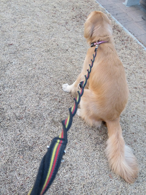 ファイル 7486-2.jpg