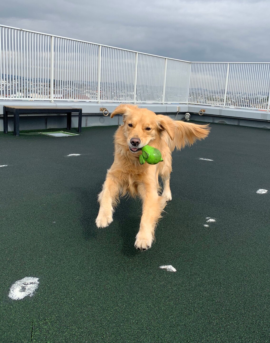 ファイル 7487-5.jpg