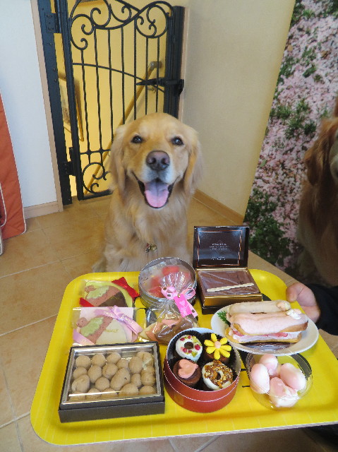 ファイル 7488-2.jpg