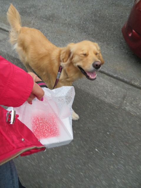 ファイル 7488-5.jpg